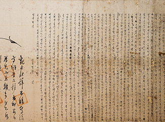 대표이미지 - Haepyeong Yunssi Buin Hangeul WonjeongLawsuit filed by a widow, Haepyeong Yunssi